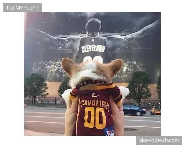 拉文家的狗都比我会花钱